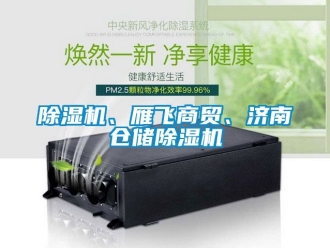 企業新聞除濕機、雁飛商貿、濟南倉儲除濕機