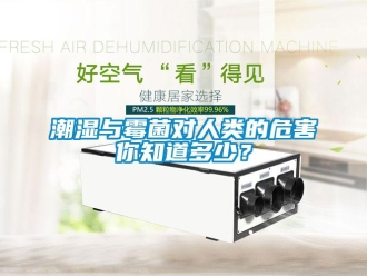 企業(yè)新聞潮濕與霉菌對(duì)人類(lèi)的危害你知道多少？