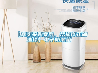 企業新聞【真實采購案例，幫您作正確選擇】電子防潮箱