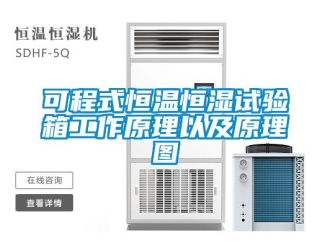 知識(shí)百科可程式恒溫恒濕試驗(yàn)箱工作原理以及原理圖
