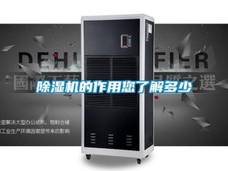企業(yè)新聞除濕機(jī)的作用您了解多少