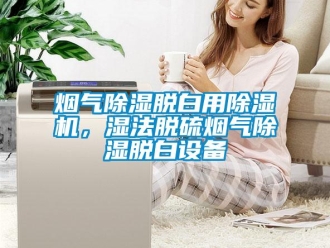 知識百科煙氣除濕脫白用除濕機，濕法脫硫煙氣除濕脫白設備