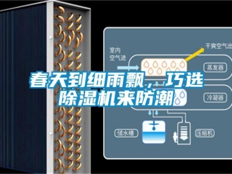 企業(yè)新聞春天到細(xì)雨飄，巧選除濕機來防潮