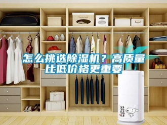 常見問題怎么挑選除濕機(jī)？高質(zhì)量比低價(jià)格更重要