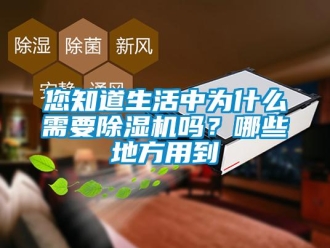 常見問題您知道生活中為什么需要除濕機(jī)嗎？哪些地方用到