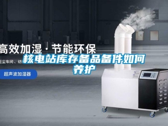 常見問題核電站庫存?zhèn)淦穫浼绾勿B(yǎng)護(hù)