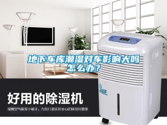 企業(yè)新聞地下車庫潮濕對車影響大嗎怎么辦？