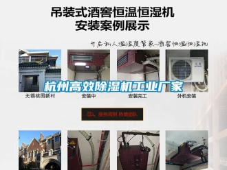 企業(yè)新聞杭州高效除濕機工業(yè)廠家