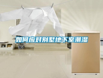 企業(yè)新聞如何應(yīng)對(duì)別墅地下室潮濕