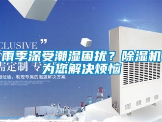知識百科雨季深受潮濕困擾？除濕機為您解決煩惱