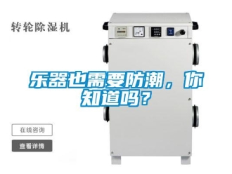 常見問題樂器也需要防潮，你知道嗎？