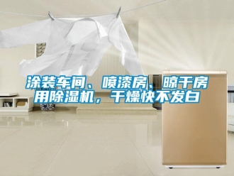 知識百科涂裝車間、噴漆房、晾干房用除濕機，干燥快不發白