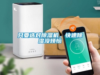 知識百科只要選對除濕機，快速除濕沒煩惱