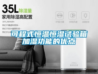 知識(shí)百科可程式恒溫恒濕試驗(yàn)箱加濕功能的優(yōu)點(diǎn)