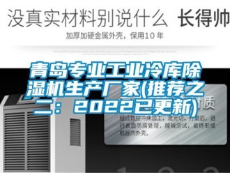 企業(yè)新聞青島專(zhuān)業(yè)工業(yè)冷庫(kù)除濕機(jī)生產(chǎn)廠家(推薦之二：2022已更新)