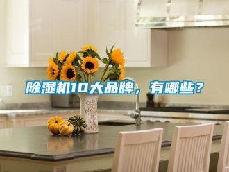 企業(yè)新聞除濕機(jī)10大品牌，有哪些？