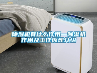 行業新聞除濕機有什么作用—除濕機作用及工作原理介紹