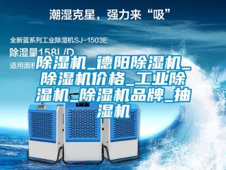 常見問題除濕機(jī)_德陽除濕機(jī)_除濕機(jī)價格_工業(yè)除濕機(jī)_除濕機(jī)品牌_抽濕機(jī)
