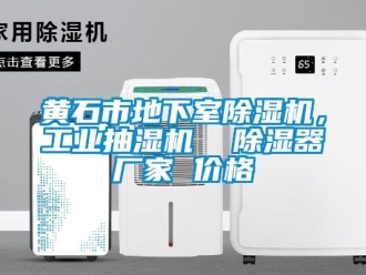 企業新聞黃石市地下室除濕機，工業抽濕機  除濕器廠家 價格