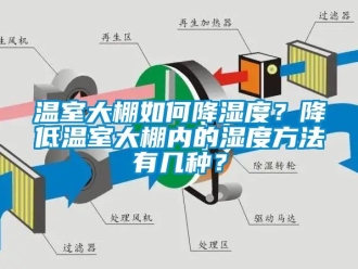 企業新聞溫室大棚如何降濕度？降低溫室大棚內的濕度方法有幾種？