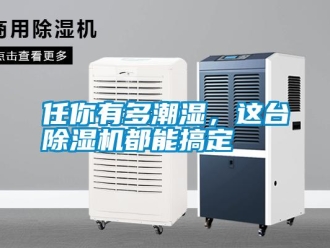行業新聞任你有多潮濕，這臺除濕機都能搞定
