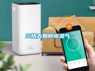常見問(wèn)題三伏天如何除濕氣