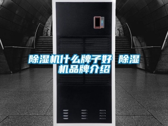 企業新聞除濕機什么牌子好 除濕機品牌介紹