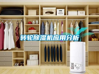 知識百科轉(zhuǎn)輪除濕機應(yīng)用分析