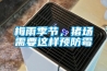 梅雨季節(jié)，豬場需要這樣預(yù)防霉