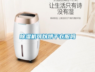 行業(yè)新聞除濕機可以烘干衣服嗎