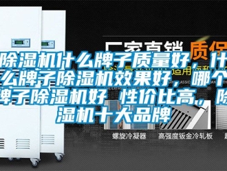 企業(yè)新聞除濕機(jī)什么牌子質(zhì)量好，什么牌子除濕機(jī)效果好，哪個牌子除濕機(jī)好 性價比高，除濕機(jī)十大品牌