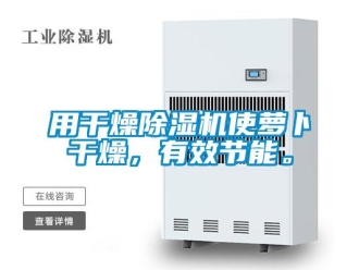 知識百科用干燥除濕機使蘿卜干燥，有效節能。