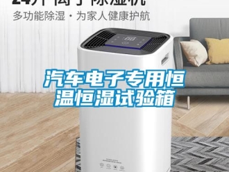 知識(shí)百科汽車電子專用恒溫恒濕試驗(yàn)箱