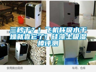 企業(yè)新聞三秒干？! 飛機(jī)杯吸水干燥就靠它了! 硅藻土吸濕棒評測