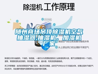 企業(yè)新聞隨州商場(chǎng)吊頂除濕機(jī)空氣抽濕器,抽濕機(jī)、加濕機(jī)廠家