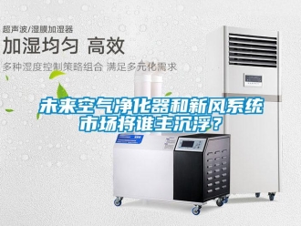知識百科未來空氣凈化器和新風(fēng)系統(tǒng)市場將誰主沉浮？