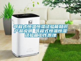 知識百科可程式恒溫恒濕試驗箱知識產品說明 可程式恒溫恒濕試驗箱工作原理