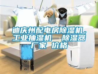 企業(yè)新聞迪慶州配電房除濕機(jī)，工業(yè)抽濕機(jī)  除濕器廠家 價(jià)格