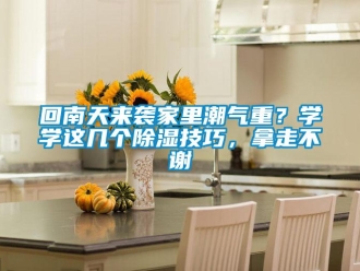 行業新聞回南天來襲家里潮氣重？學學這幾個除濕技巧，拿走不謝