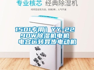 企業新聞1501專用）YY-22  90W除濕機電機  電容運轉異步電動機