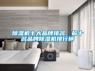 企業(yè)新聞除濕機十大品牌排名，前十名品牌除濕機排行榜