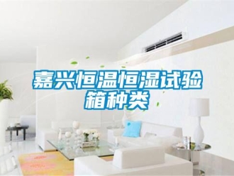 知識(shí)百科嘉興恒溫恒濕試驗(yàn)箱種類