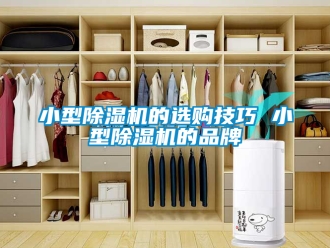 企業新聞小型除濕機的選購技巧 小型除濕機的品牌