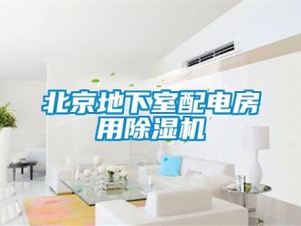 企業(yè)新聞北京地下室配電房用除濕機