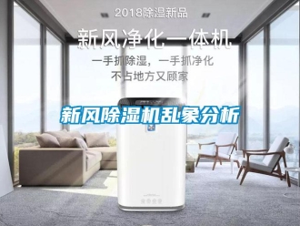 知識(shí)百科新風(fēng)除濕機(jī)亂象分析