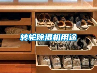 知識(shí)百科轉(zhuǎn)輪除濕機(jī)用途