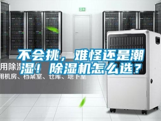 企業新聞不會挑，難怪還是潮濕！除濕機怎么選？