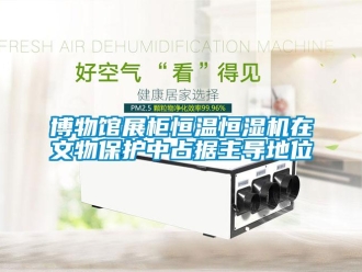 知識百科博物館展柜恒溫恒濕機在文物保護中占據(jù)主導(dǎo)地位