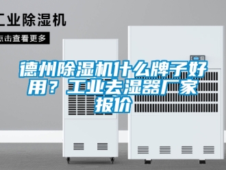 企業新聞德州除濕機什么牌子好用？工業去濕器廠家報價