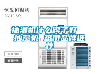 企業(yè)新聞抽濕機什么牌子好  抽濕機 熱門品牌推薦